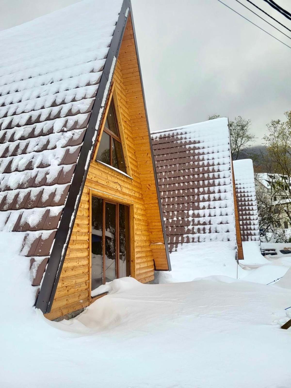 Brvnare Todorovic Villa Crni Vrh Buitenkant foto